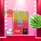 WATERMELON REMIX OXBAR MAGIC MAZE PRO | 10000 PUFFS