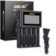 GOLISI S4 2.0A SMART CHARGER WITH LCD SCREEN