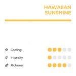 HAWAIIN SUNSHINE PINEAPPLE RELX POD - Image 2